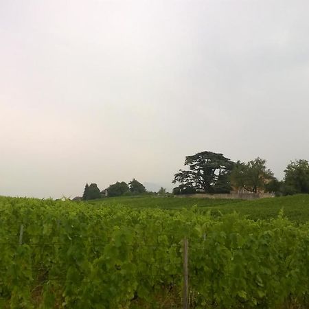 Chateau La Violette Les Marches Luaran gambar